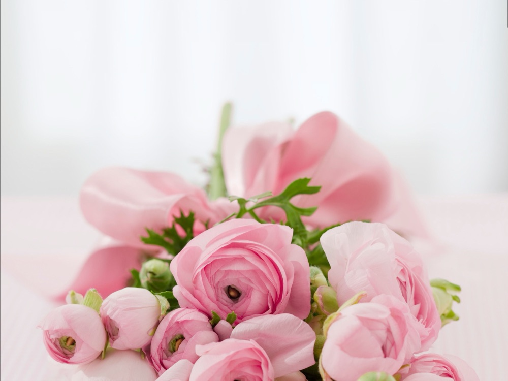Ajania Flower Salon